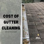 Cost of gutter cleaning