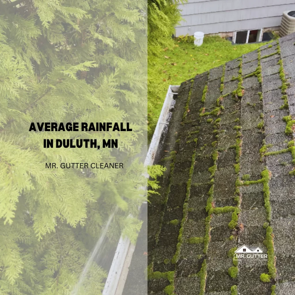 AVERAGE RAINFALL IN DULUTH, MN