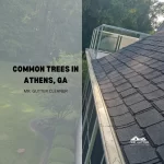 COMMON TREES IN ATHENS, GA