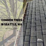 Common trees in Seattle, WA