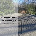 Common Trees in Topeka, KS