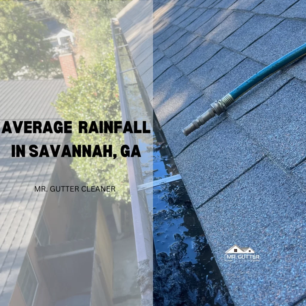 Average Rainfall in Savannah, GA