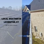 Local Weather in Lexington, KY