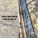 Local Weather in Long Island, NY