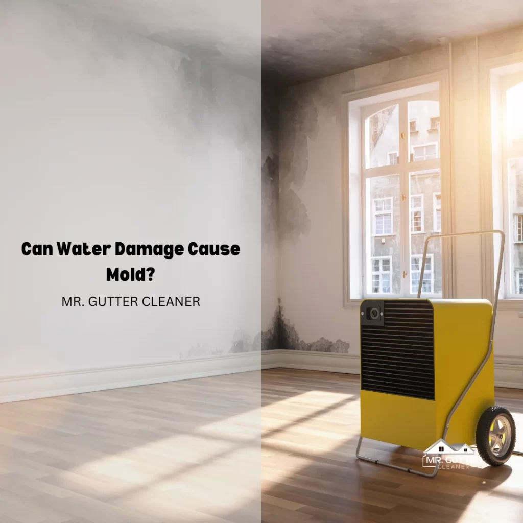 Can Water Damage Cause Mold