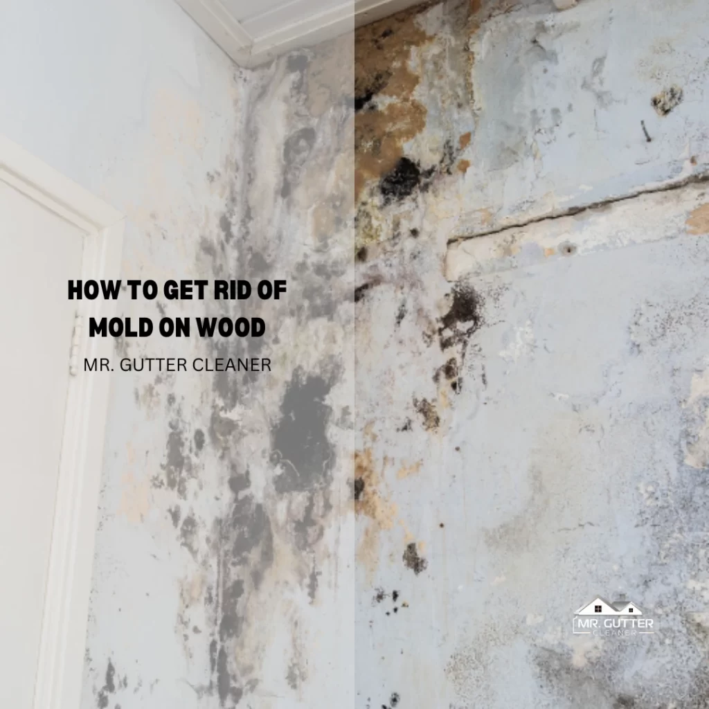 How to Get Rid of Mold on Wood
