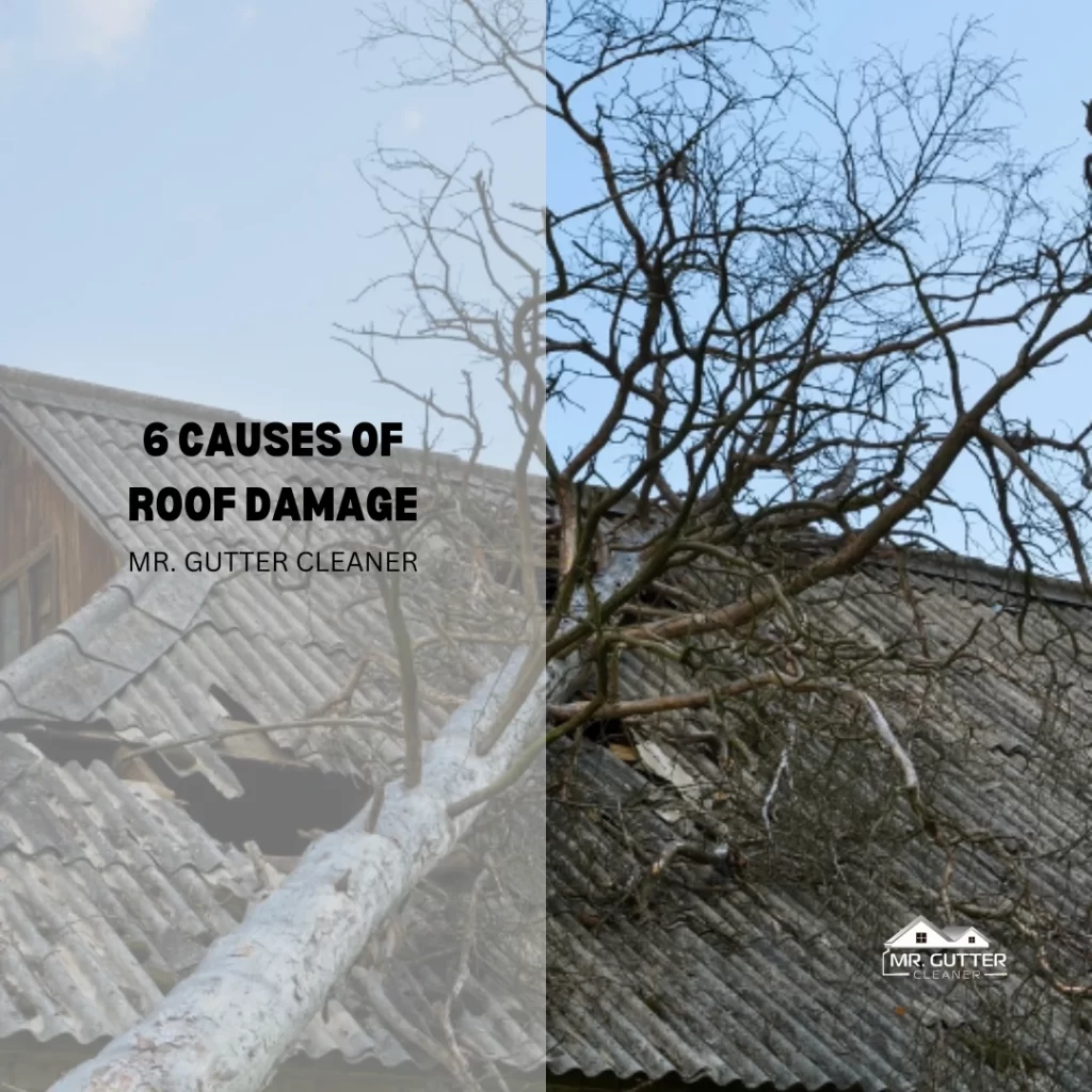 6 Causes of Roof Damage
