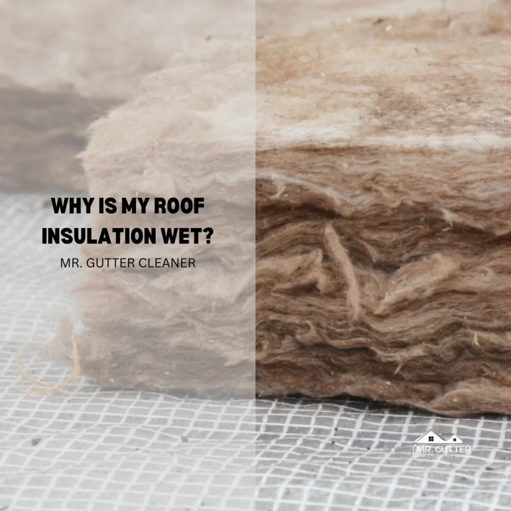 Why Is My Roof Insulation Wet?