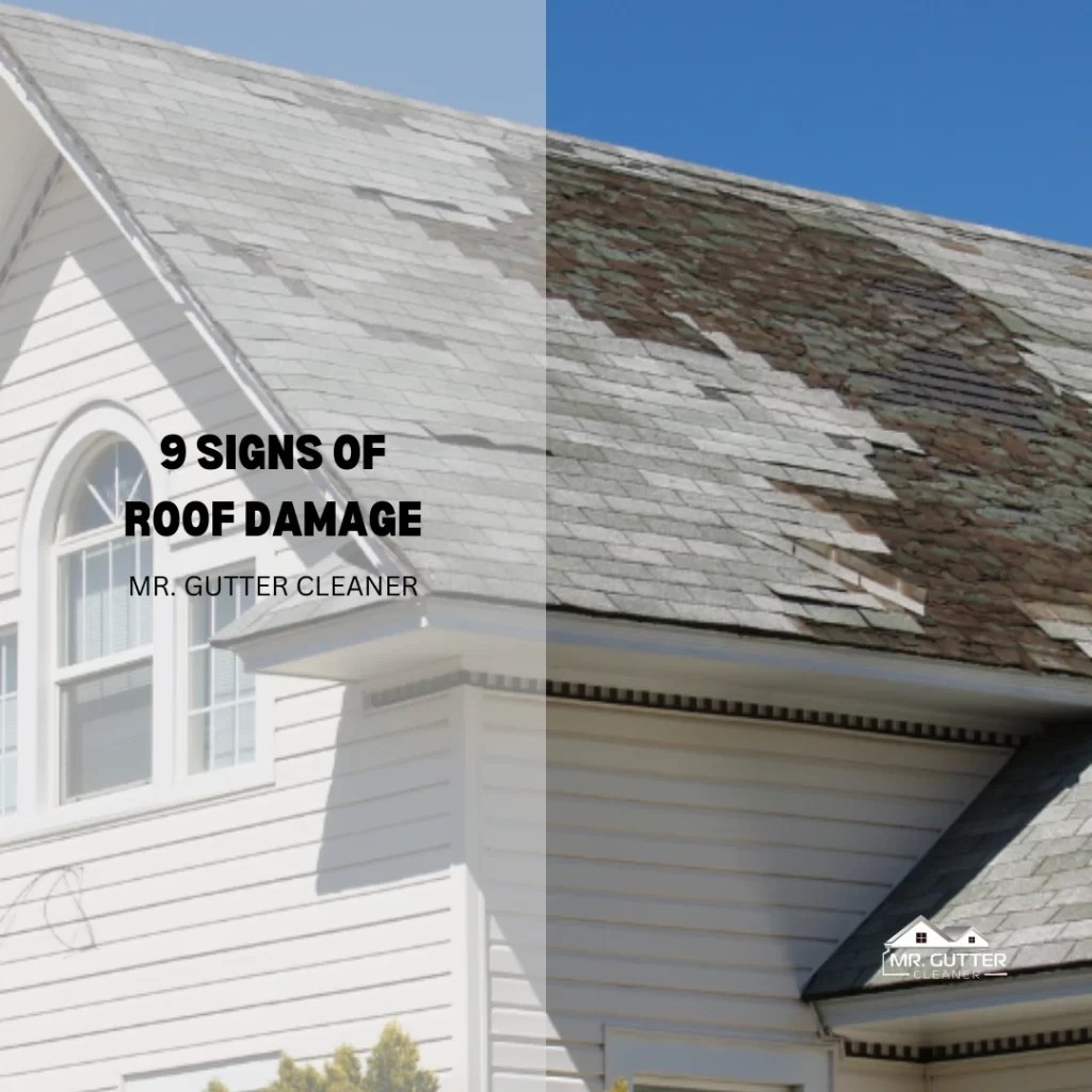 9 Signs of Roof Damage