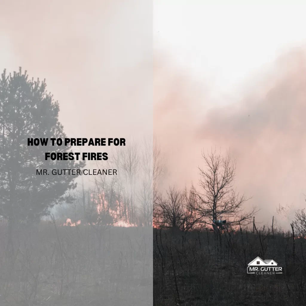 How to Prepare for Forest Fires