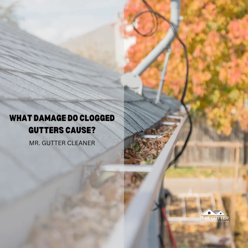 What Damage do Clogged Gutters Cause