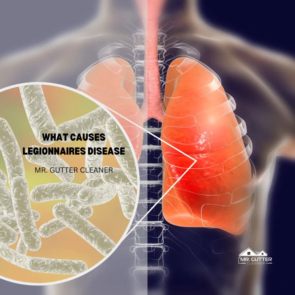 What Causes Legionnaires Disease